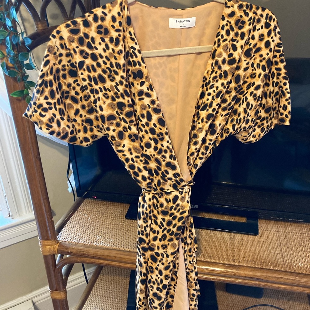 Aritzia Babaton Wrap Dress